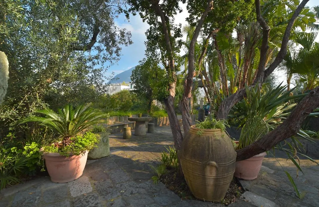 B&B Villa Regine Camera Con Terrazza A Forio-1